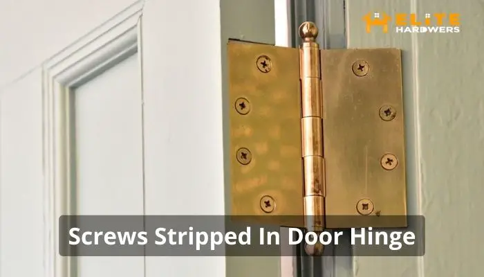 Screws Stripped In Door Hinge