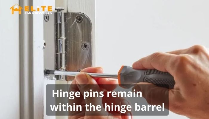 Hinge pins remain within the hinge barrel
