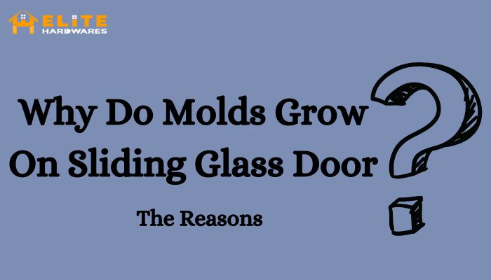 The reasons behind molds growth