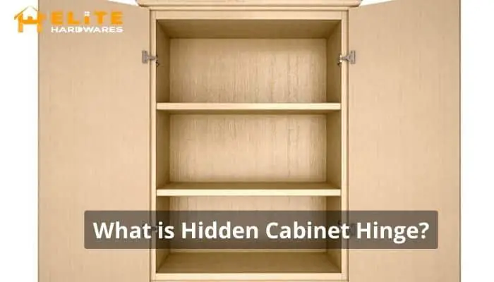 What is hidden cabinet hinge