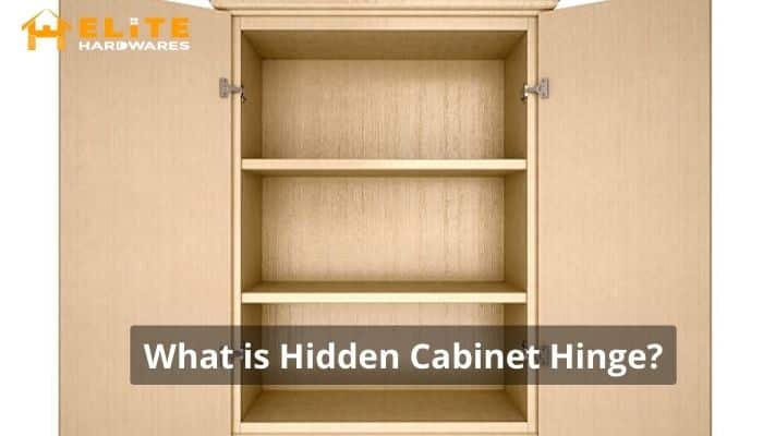  What is hidden cabinet hinge