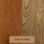Elm Vs Oak