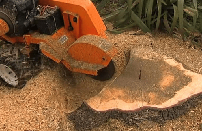 Remove Wood Chips From Tree Stump Grindings