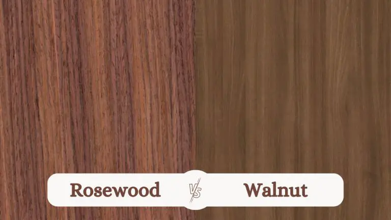 Rosewood Vs Walnut – A Detailed Comparison
