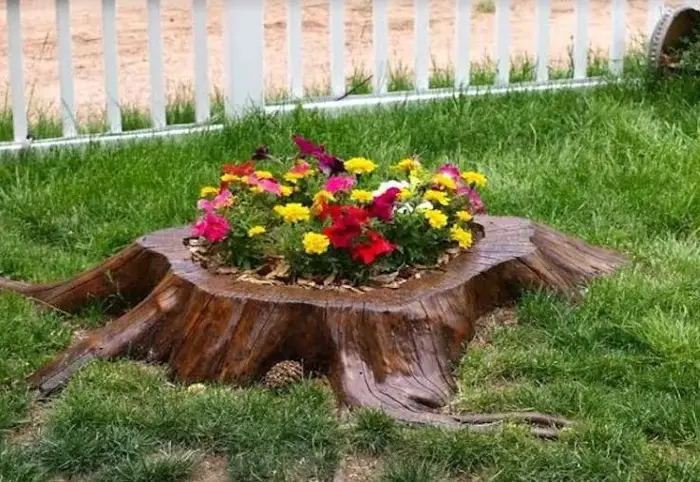 What Other Alternatives You Can Do With A Tree Stump In Your Garden