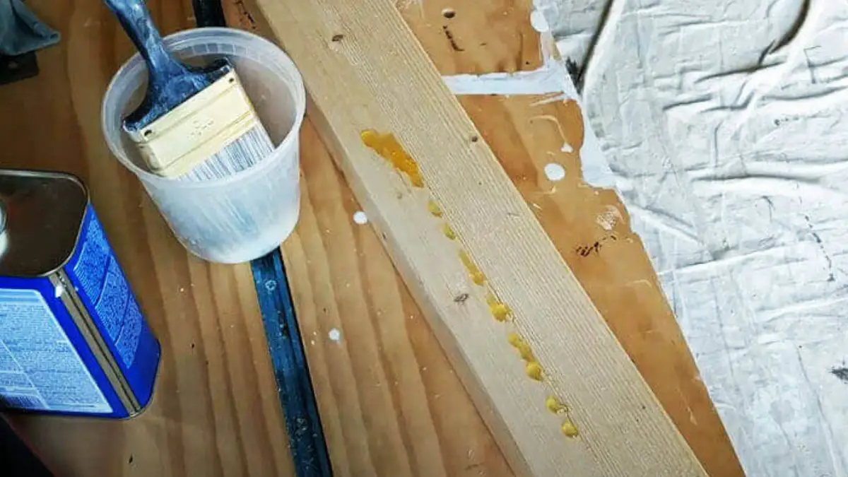A Complete Guide On How To Stop Wood From Leaking Sap