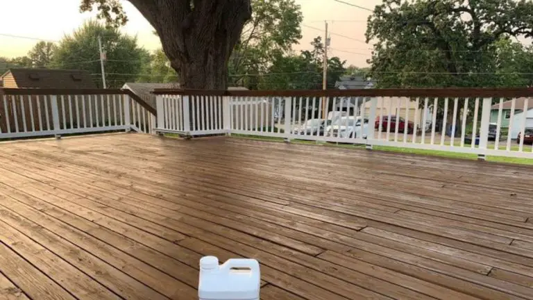 Can You Stain Wet Wood? Know The Risks Involved