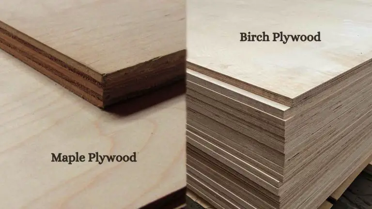 Maple Vs. Birch Plywood: Which Is Best For You?