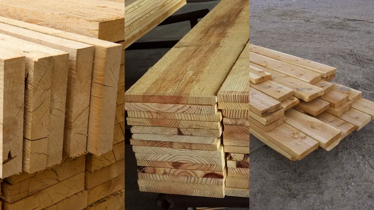 Spruce Vs Pine Vs Fir Lumber Which Is The Best?